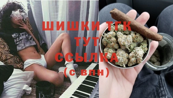 бошки Анива