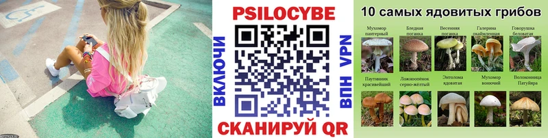 Псилоцибиновые грибы Psilocybe  МЕГА маркетплейс  Кимры 