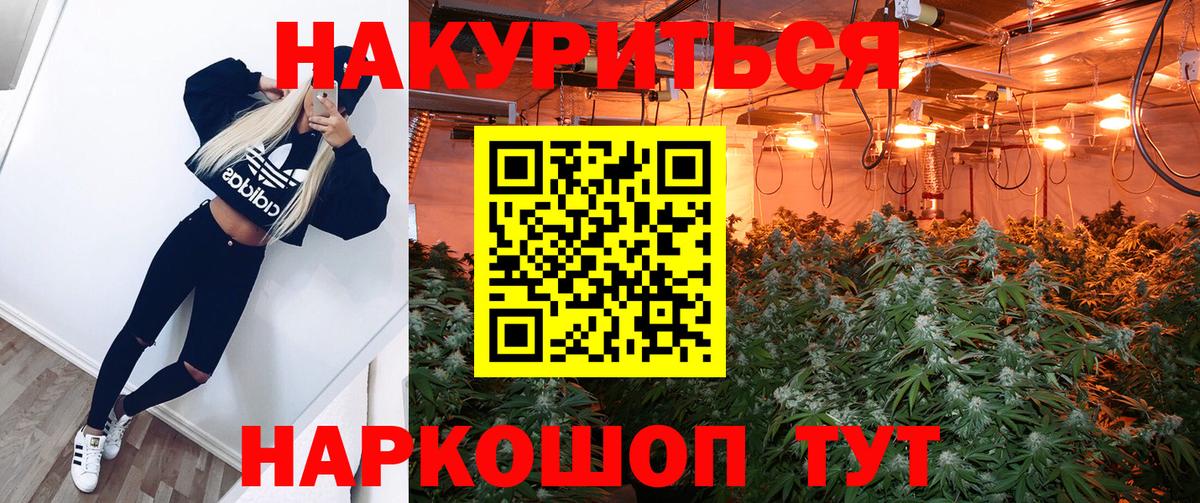 Кимры  Каннабис Bruce Banner  Конопля тримм  Вход с VPN  Каннабис сатива 